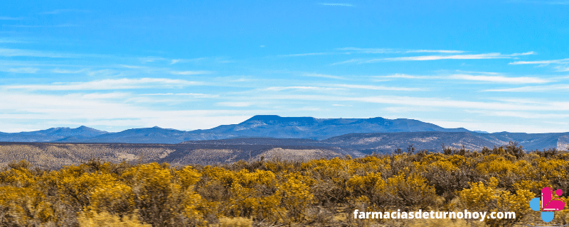 Farmacias de turno en la provincia Chubut Chubut